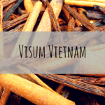 Visum Vietnam