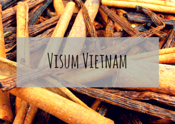 Visum Vietnam