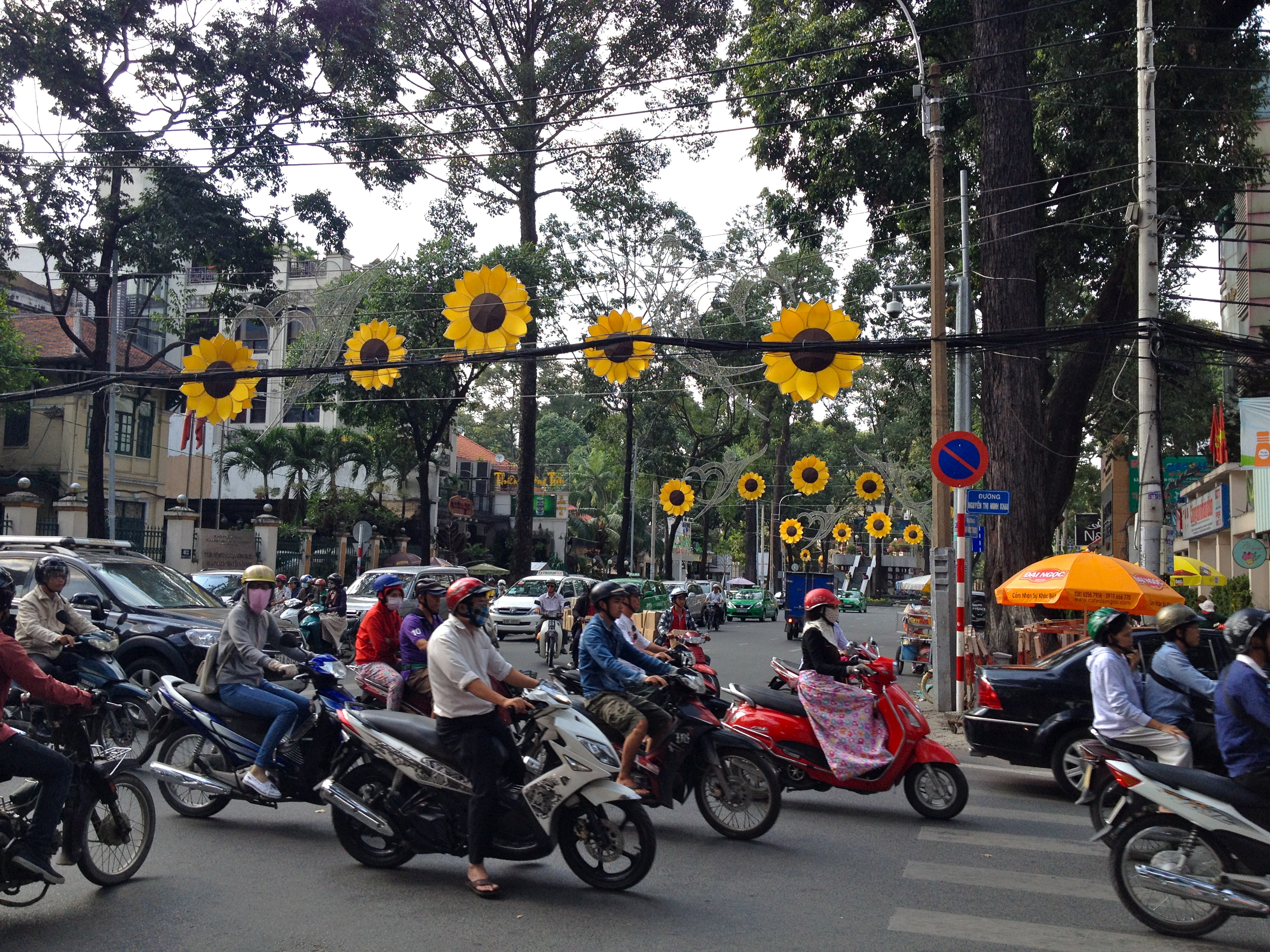 Sonnenblumenstrasse und viele Mopdedfahrer in Ho Chi Minh City