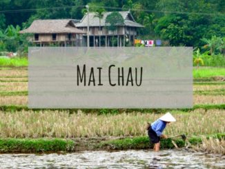Frau arbeitet auf Feld - in Mai Chau, Vietnam